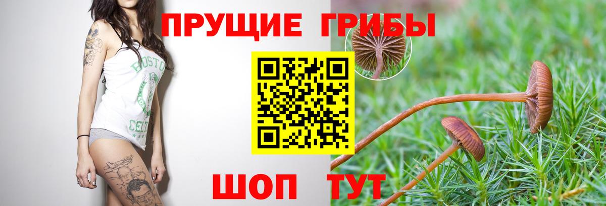 Псилоцибиновые грибы Magic Shrooms Кисловодск