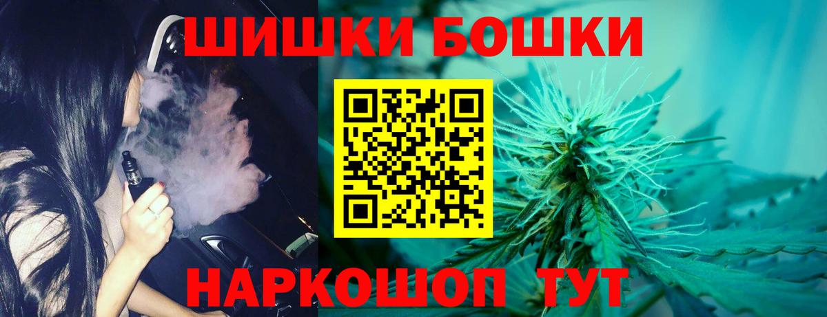 Каннабис план Кисловодск